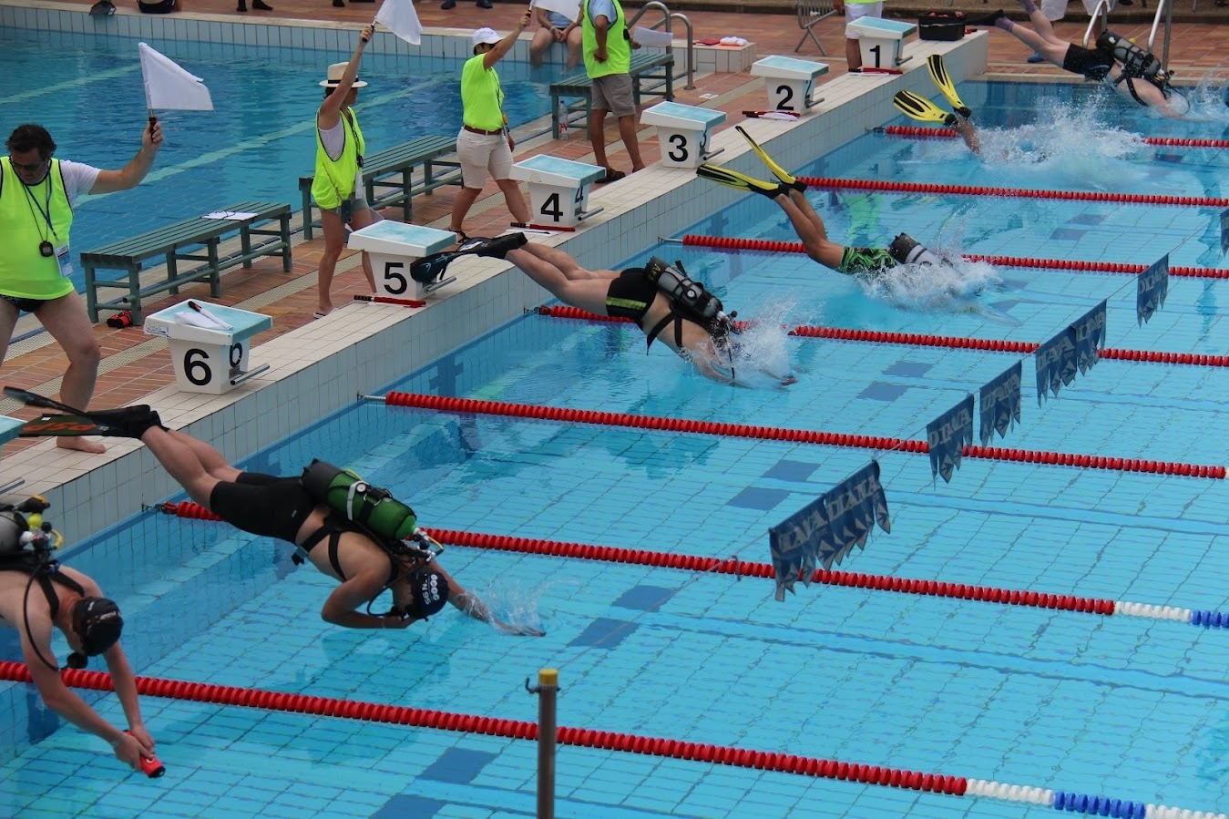 Championnat de France de plongée sportive en piscine
