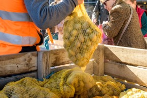 sacs de pommes de terre lors de la distribution