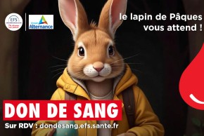 Agrandir l'image