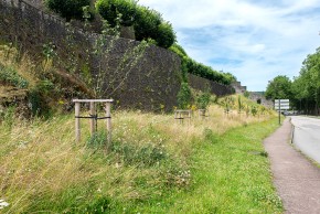 Agrandir l'image