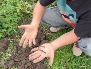 Les supers pouvoirs des sols