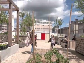 Des ateliers gratuits au jardin éphémère de la crypte Saint-Martial