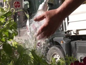 L’eau des piscines de Limoges sert à arroser les espaces verts