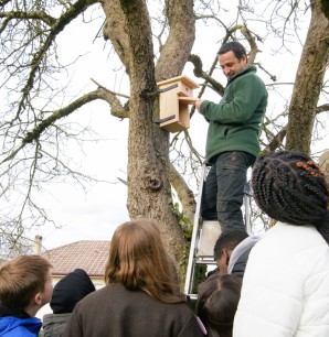 Du haut de son échelle, Benoît explique aux jeunes élus qu’il faut plutôt utiliser des sangles pour fixer les nichoirs plutôt que de les clouer aux arbres pour ne pas abîmer les troncs.