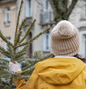 Personne habillée en jaune qui tient un sapin.