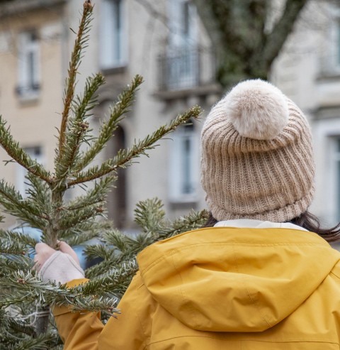 Personne habillée en jaune qui tient un sapin.
