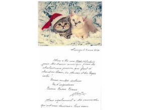 Agrandir l'image