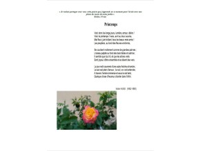 Agrandir l'image