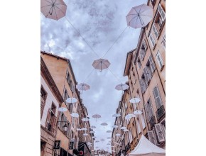 Agrandir l'image