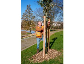 Nicolas Bagelet, responsable de l’entreprise Limousin paysage, et son équipe œuvre à la végétalisation du parc. Ils se chargeront de l’entretien des végétaux durant les premières années, …. 