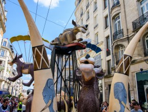 Agrandir l'image