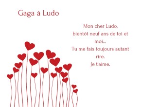 Agrandir l'image