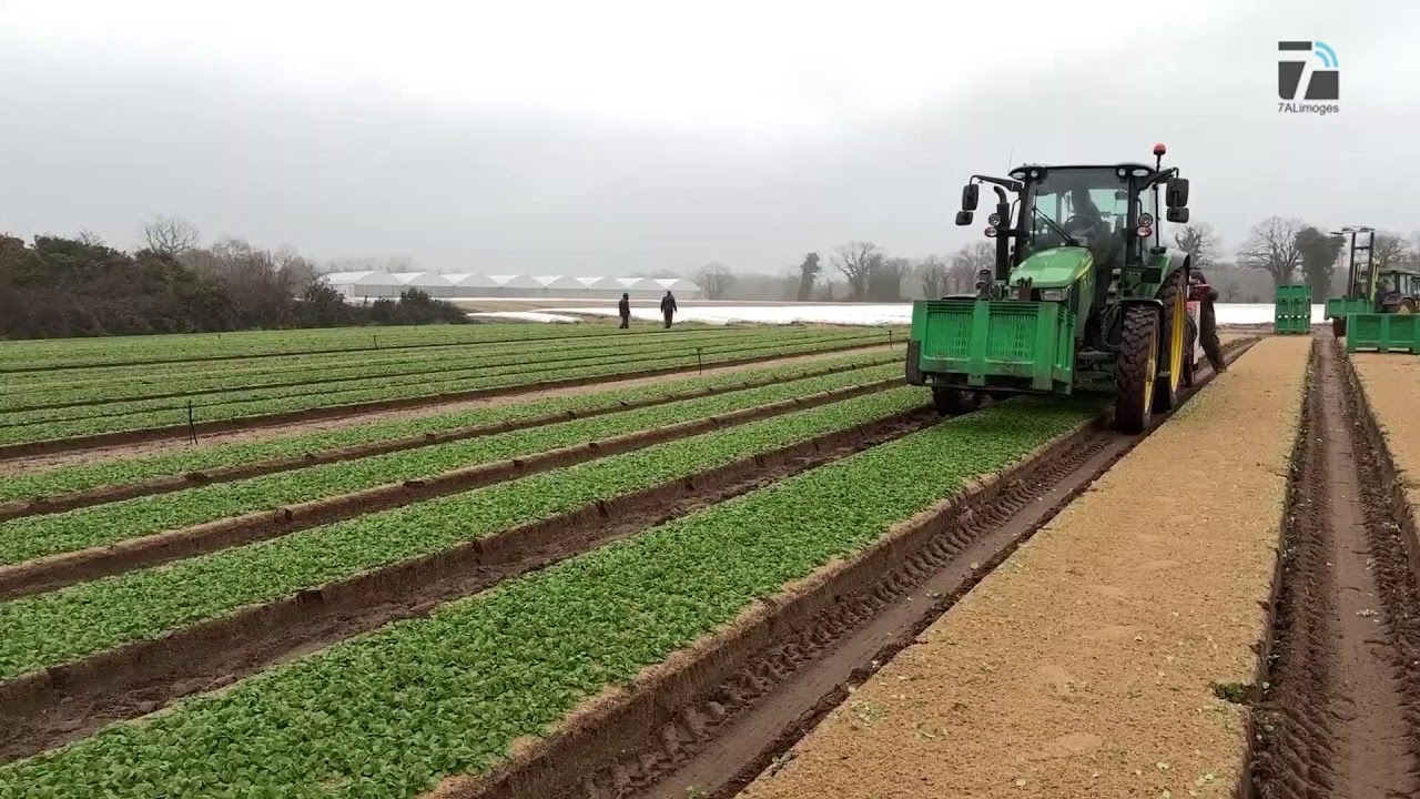 La chaîne en direct